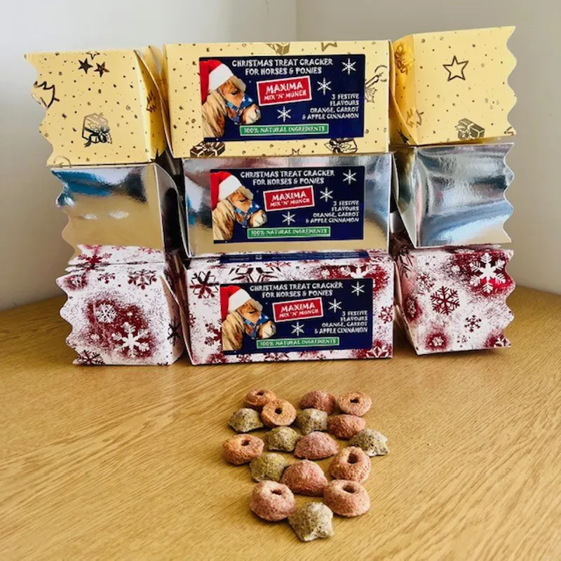 Maxima Christmas Cracker of Horse Treats Large